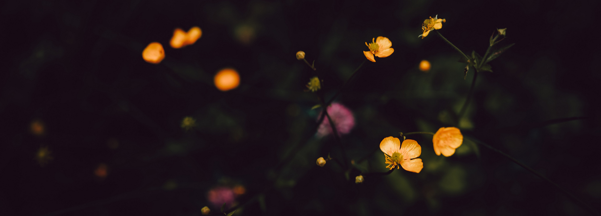 Image Slider